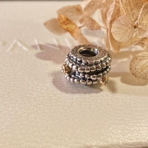 Pandora charm